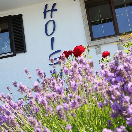 Seegasthof Hois'n Wirt - Mit Wellnessbereich فندق غموندين