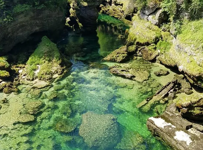 Ξενοδοχείο Seegasthof Hois'n Wirt - Mit Wellnessbereich 4*